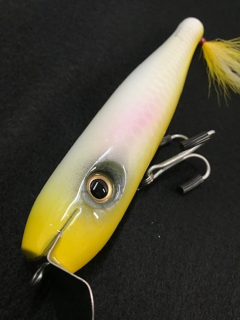 Caught on Mike's Mag Swimmer